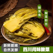 青菜酸菜老壇酸菜酸菜專用芥菜四川粉絲泡酸菜魚四川泡菜200g