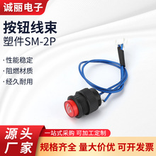 按鈕線束塑件SM-2P端子sm-pt線1007端子線束連接線導線連接器