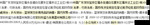 供应商务礼品LKW1436C-5卡包