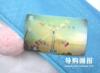 ��Ӧ������