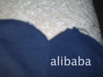 ��Ӧֲ���������ڼ�