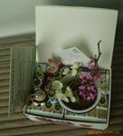 王婧农场高档迷你植物礼品 最新产品 创意产品新奇特产品