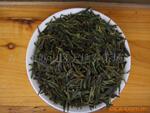 批发供应说 崂山茶 龙井工艺(扁茶)