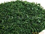 厂家大量供应有机云雾茶新茶可出口有证书