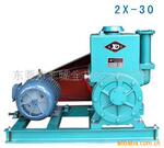 2X-30��ձ� �������豸 ��ն���ר����ձ�