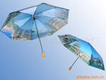 供应外贸雨伞(图)