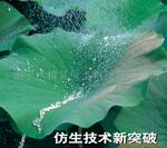 ��Ӧ����ˮ�����ˮ��