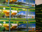 供应广西无公害礼品水果,玉贵人牌恭城甜脆柿