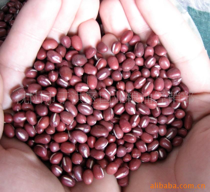 供应红小豆(图)