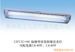 供应CBY3C-80防爆灯具(图)