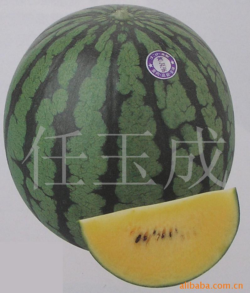 小玉西瓜-产品图片