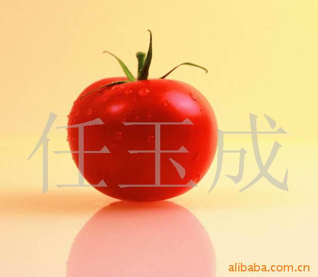西红柿-产品图片