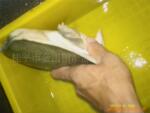 供应浔州牌优质无公害外塘生态黄沙鳖