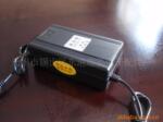 48V20AH�綯�������