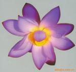 uvӡˢ,uv˿��ӡˢ,uvӡˢ�ӹ�ȫ�Զ�uvӡˢ