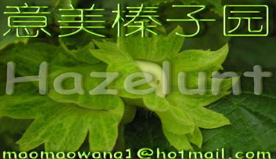 ������̨-�ҵı�����ӣ� ũҵ ��� Ʒ�� �Ƽ� 