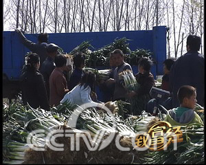 ��Ů�󵨡��ִ��׬���� ũҵ�¸��� ���� CCTV7�¸��� �� 