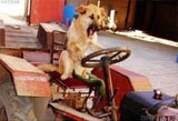 ̫���ˣ���������ѧ��ʻ