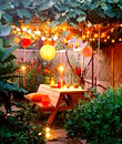 2007nongye/08ny/qita/pic/3_1227681079066.jpg