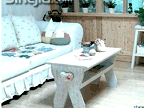 ʱ���պ�������С����ʵ��