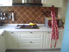 �ҵ�С��ʽ�ҵİ� ��80���ޱ���Ľ���¼�