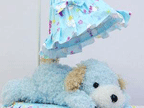 �Ұ��Ҽ�ϵ�� 20�����˿���յ���