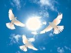 ���򣺴�ҵ�İ˸�����