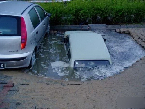 �̵����������ĳ��� �Ƹ����� ������� �Ƹ� 