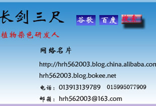 2008参选十大网商!