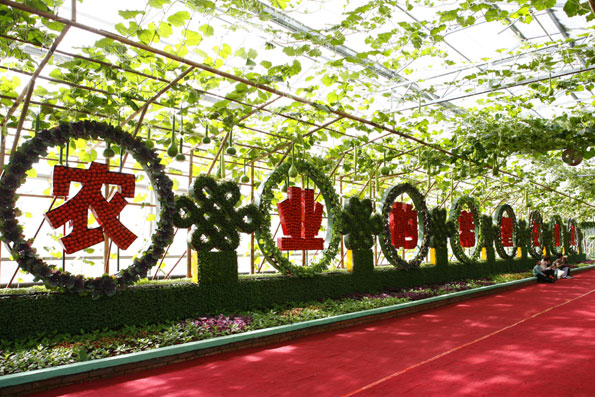 寿光蔬菜博览会