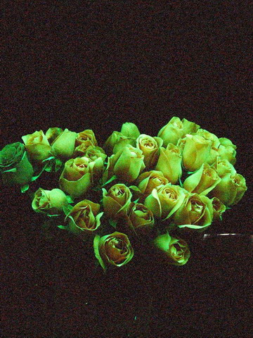 自即日起,公司开办订做礼品荧光花卉业务!