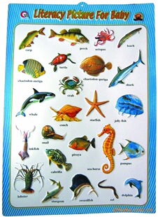 供应吸塑画,幼儿早教吸塑画,吸塑挂图