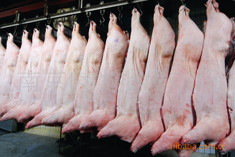 供应南京猪肉 分割肉 鲜猪白条 雨润冷鲜白条