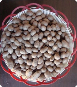 营养保健新产山药豆产地批发预定价优