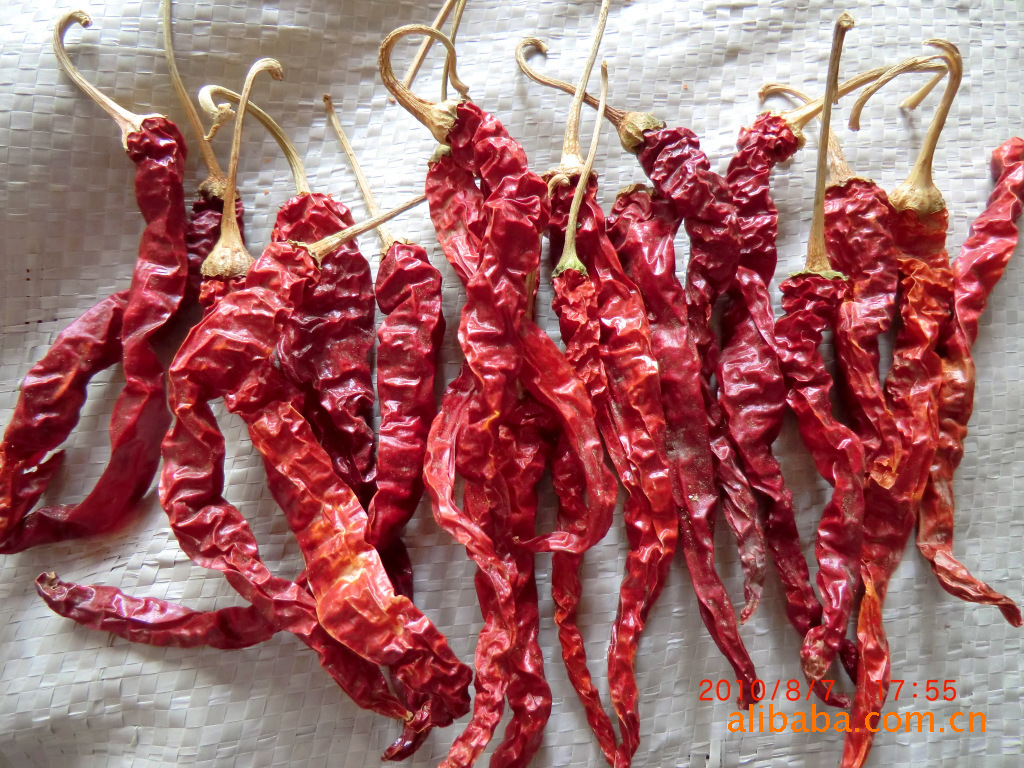 供应秦椒(线椒皱纹椒)---干辣椒