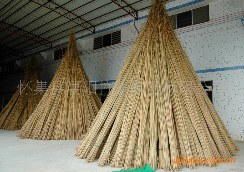 怀集茶秆竹,厘竹图片,厘竹(第4页)_大山谷图库
