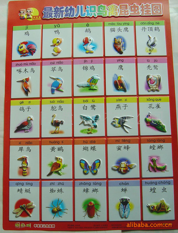 乖宝宝幼儿看图识字挂图 幼教早教认知 挂图立体挂图 凹凸挂图