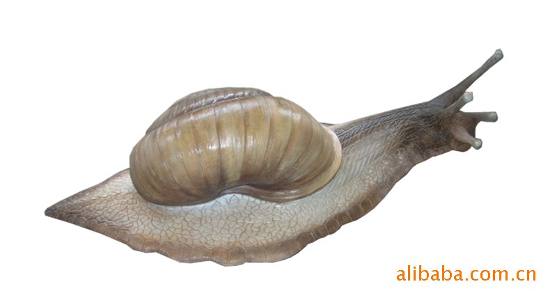 供应厂家批发形象生动生物模型 原生动物模型-眼虫图片_3