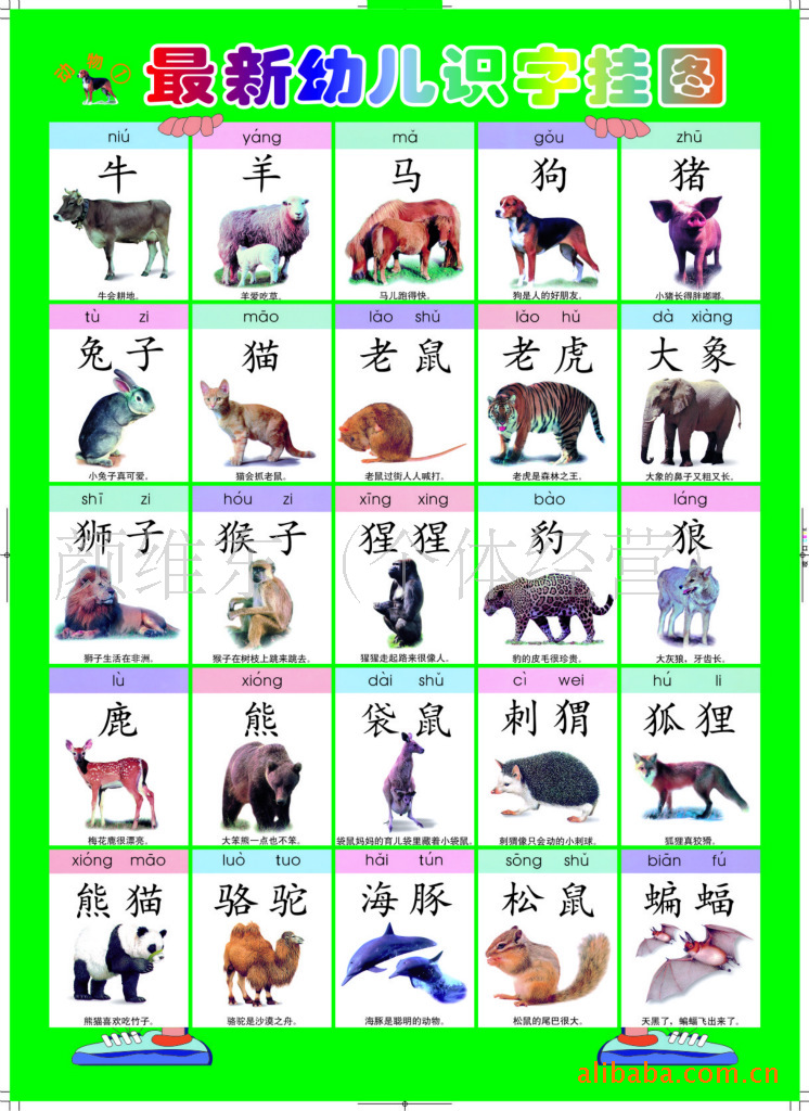 智嬰坊特價力薦動物 早教非有聲掛圖 益智語音掛圖