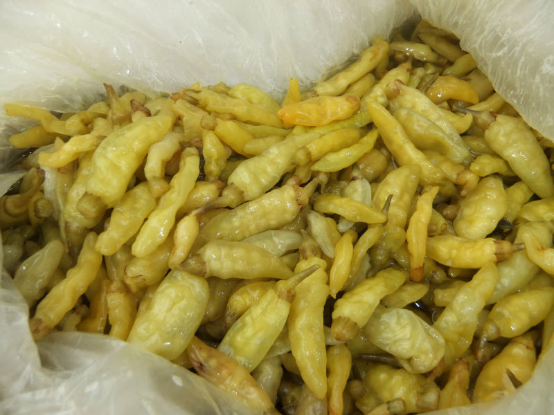 云南辣椒 泡椒 丘北辣椒图片_2