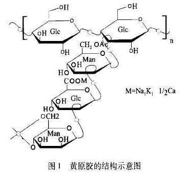 黄原胶结构及性质