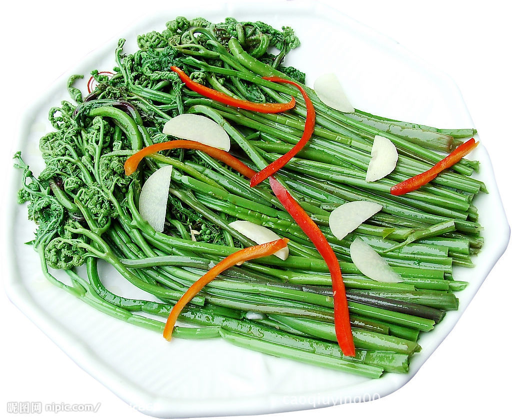 野生凤尾花,各种菜花,做汤.凉拌.炒·你的健康美食营养菜花