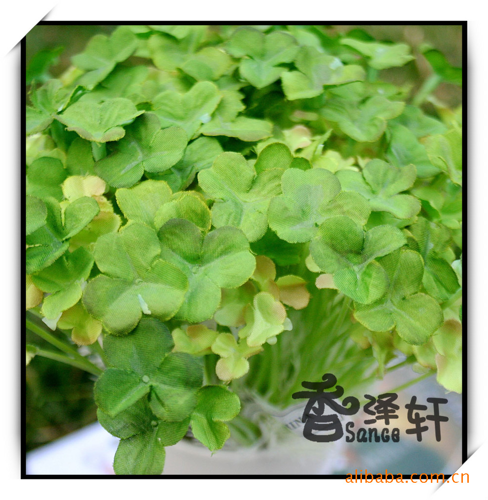 仿真花批发 三叶草 玲珑草 2.65,2.60元/束
