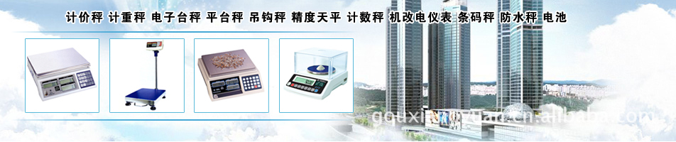 专业供应 电子地磅 汽车衡 电子磅秤 地上衡 地磅秤