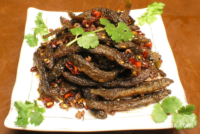 供应鲜活大肥美的大泥鳅