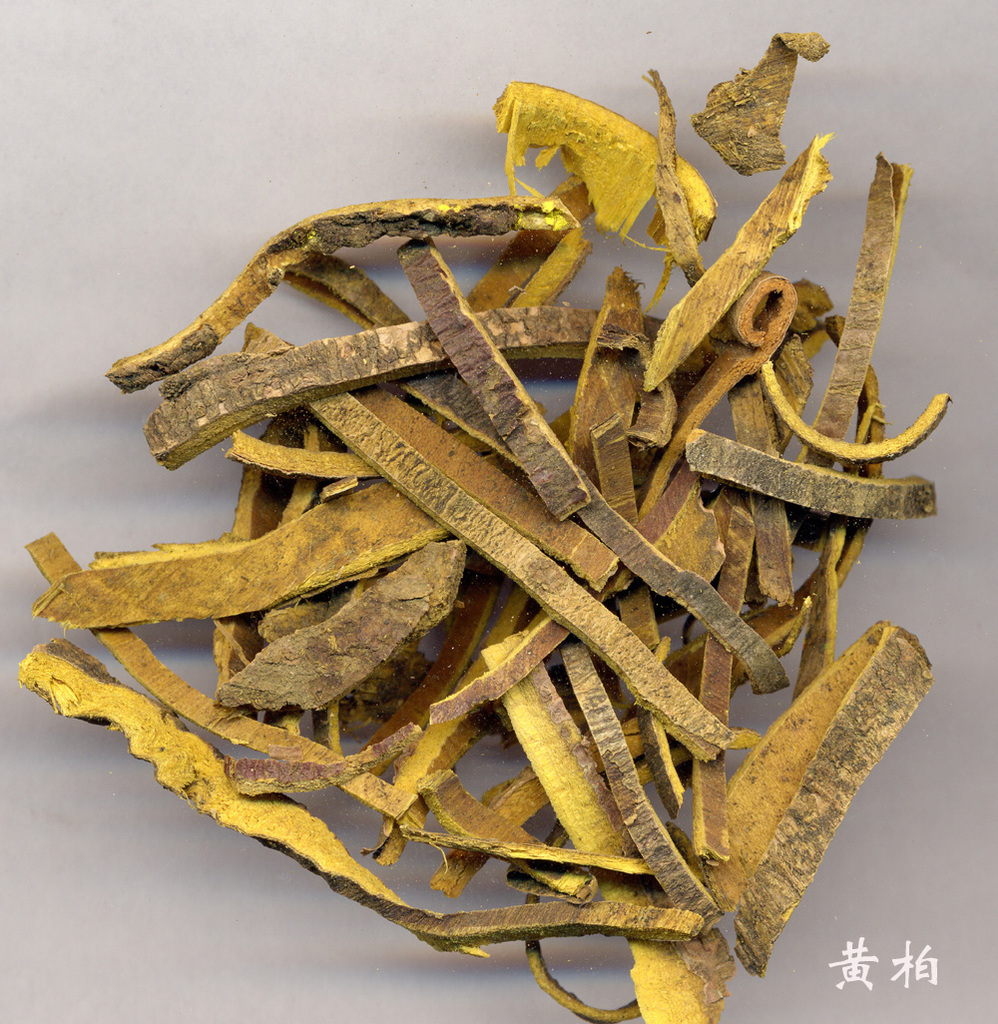 中国染色历史上重要的植物染料---------黄柏