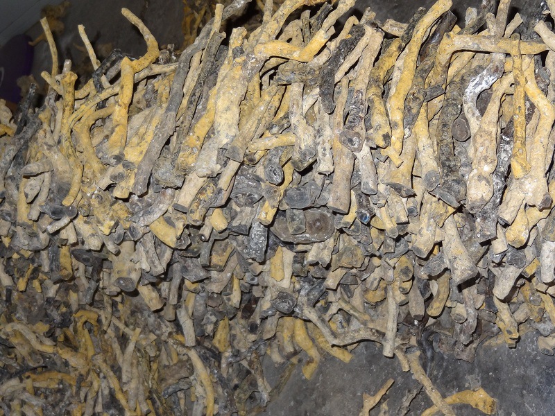 【海柳原材料,烟嘴材料,工艺品加工雕刻料,赤柳红柳大中小统料】价格,