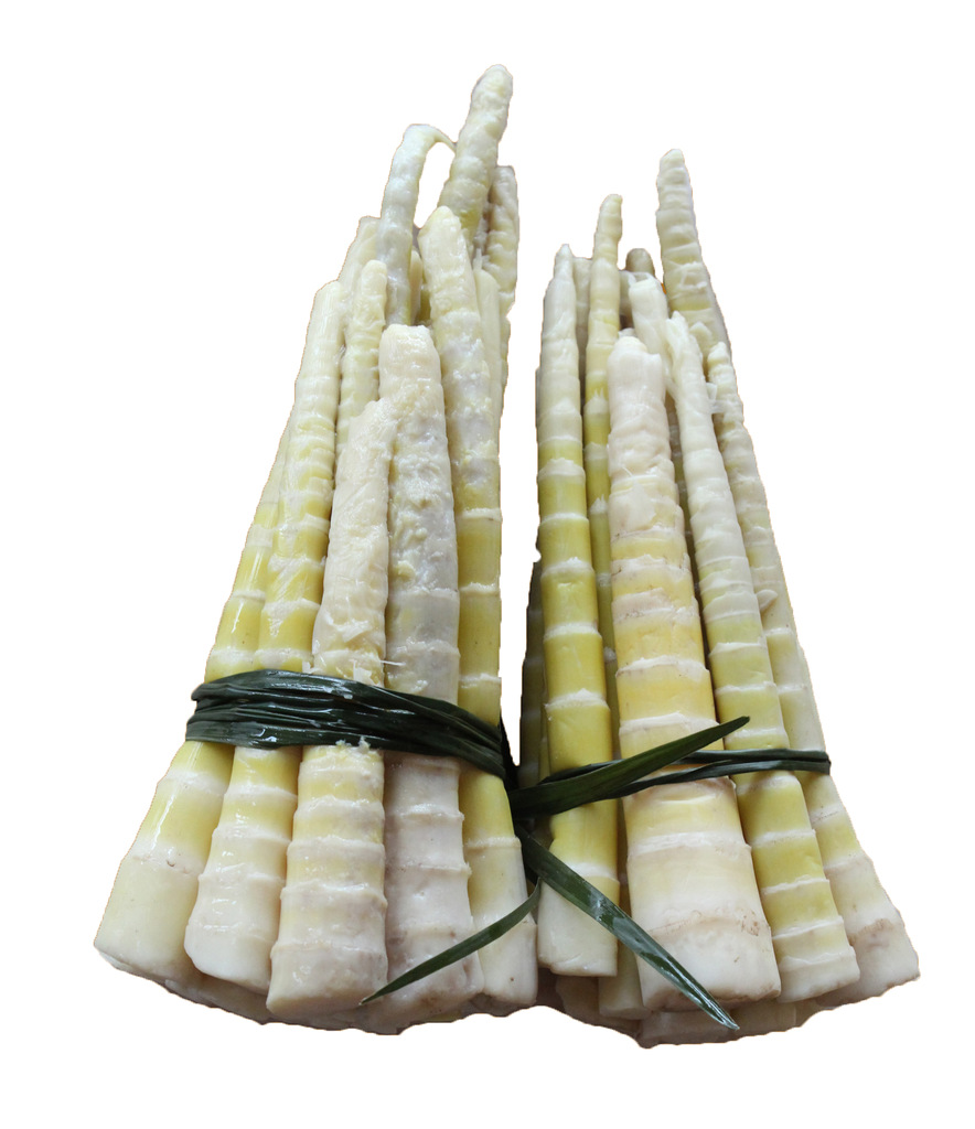 慈竹是丛生型.竹的典型代表,高大,筒长,叶葱浓.