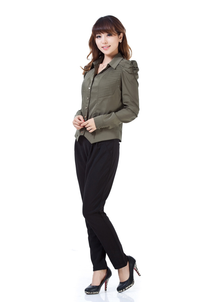 2013新款现货供应 韩版全棉修身女式衬衫 热销经典款 长短袖