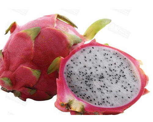 白心火龙果3.8元一斤又叫玉龙果海南本地产新鲜个头大甜度高